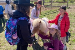 23e51874-0298-4269-9683-c94e6882342e