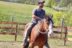 24c9abd4-f843-4bfc-85b9-b86f15f60ebc