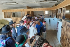 3d2d8697-3962-4b24-b684-7e3b5cff5955