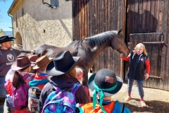 477fe7ed-0934-4af6-9dd6-08f72ec6e1db