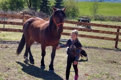 50f3b9ae-762d-4469-9709-fb251909f7dd