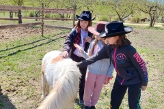 5127c1c8-32b9-4c66-8ea7-282645bb8fc4