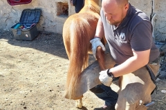 54aba433-5267-4234-ba02-d47083f0d965