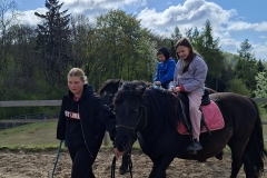 56ba98cb-ee70-4789-a406-68b595ece767