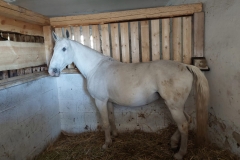 585ffb85-506f-40a6-8651-5b3b55487be0