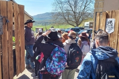 65768c81-d272-4cd0-85f1-8011363f6d2e