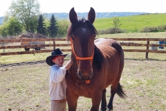 6efc9252-0e5a-43b6-bf2c-2dc77dcce366