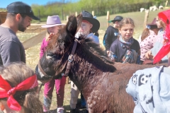 70f18362-e9ba-49c4-9ba4-9678fe5f06e3