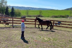 78a0c058-9f21-4a03-9a79-7a6213d6323c