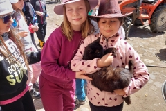 7a6f7ad8-fdf2-4e44-b8fa-bd5c252e5b7b