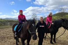 7b1f12c4-f23c-4bb5-9eec-434268bd709c