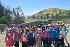 7f73967a-39e7-4eae-8c0a-c9f08b247ad8