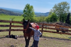 93361a26-ffb9-4b5c-ae3d-7c68f9b034d1