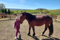 9ade966b-3e25-4c0a-b66d-981933f548f1