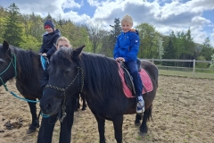 b36726e4-6239-4169-94b3-330924f27055