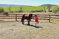 b5278319-99eb-4c69-860f-36beb02b346e