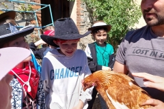 b97579dd-219c-428b-aa61-6756b62b7a6b