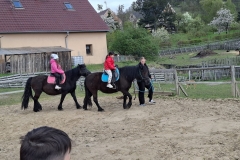 ba1baac3-7d59-4c17-aaca-367f47bc8f03