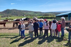 c1d9684c-c4fd-4c5d-8e7a-a7ae3025c98b