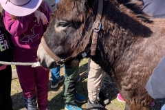 d4553464-99e8-4383-b30a-bc82b0c62aa8