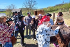 e2c7f3da-2210-4270-9734-6fdfeb622f65