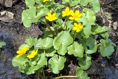 e728f267-89df-4a6f-b10a-2a8a50567003