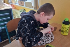 ee39e81d-a3d1-4c77-be5b-a741d63c687c