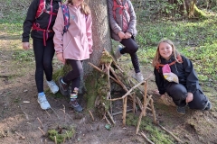 0666f9b0-f212-4825-864f-ce7e5ebe1e49