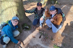 cafbf4be-083b-4147-9730-43ec2b052d98