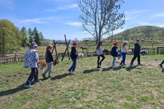 42d87e10-18ed-4c0d-9d46-cfc40a806482