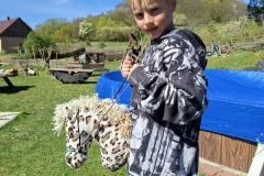 9bbe930d-05ec-47a2-975c-e068ec00dce5