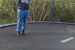 aa80da1f-f1a3-406d-b868-79d1c06294be