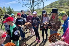 d00fb102-ecf5-4ae8-aa41-4cdc01fd7337