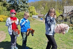 d37c1de8-68d4-4db3-bb51-15d9b95c6e18