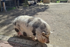 ee14ba03-0a49-4eb7-bebb-7158b318e324