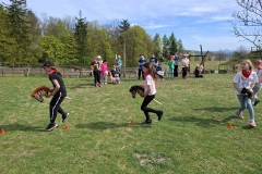 fbd02631-c13e-4972-b513-ca470fbfec77