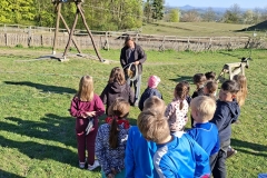 01d6c35b-3063-46e3-9d4b-51a00cd326c9