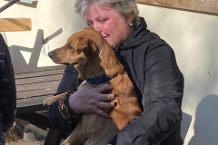 1d7b18c0-fa06-4afe-b628-fb28ae42d4dd