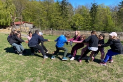 29041ba2-b4ff-4b7d-9fb9-6c301a8d5dee