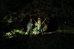 2eb451eb-5579-4b92-a77f-ce6fcd2028cd