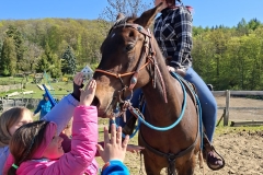 46b0c986-2a66-40fe-90fb-93498a02d49c