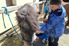 4a39f20c-d75a-4e05-ad04-2fd754d8f868