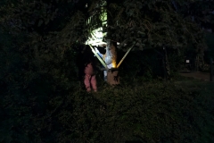 5214a8e3-e822-4e41-9ac6-230761778efa