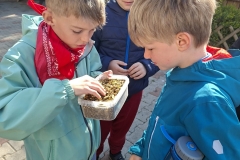 55d66121-2507-4e65-89d7-d3462a8704cd