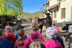 608eed0d-2cf0-4ea1-9784-ec7e9f237b7c