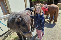 637be308-8ce6-4644-a2ec-44a7f22f9b9e