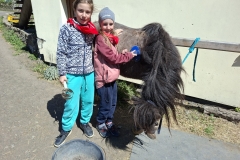 682a0721-3b1b-452d-8a43-e00f0c3da2e8