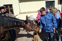 6ba59f1e-db3b-4edb-b104-2b37d1cbd9ad