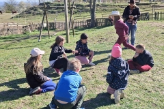 7016d8f7-183c-4f12-a16f-233991f7022b