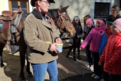 7e23a941-98e9-47c7-8e11-bcccdff1c0e6